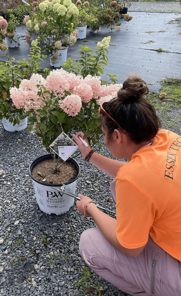 A student kneels by a flowering potted plant, checking the plant's label.