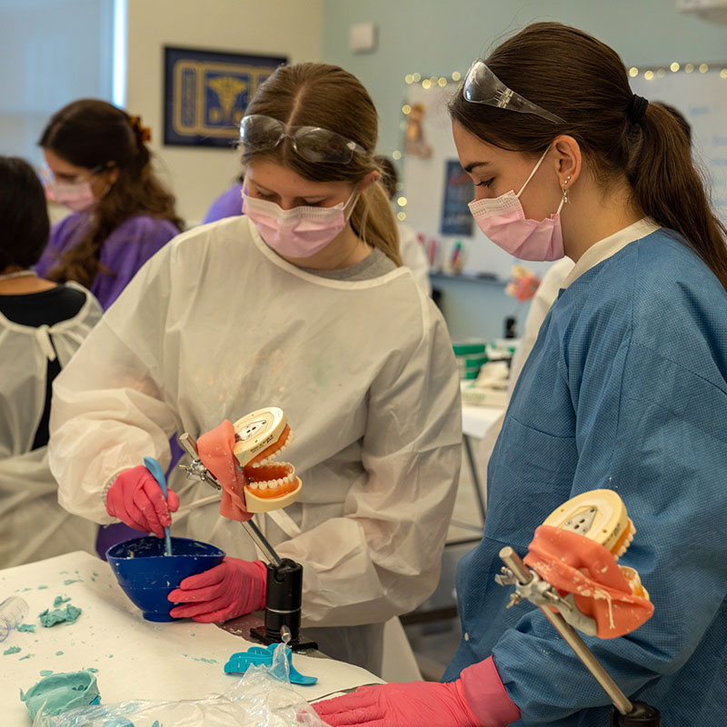 Two students work on tooth molds.