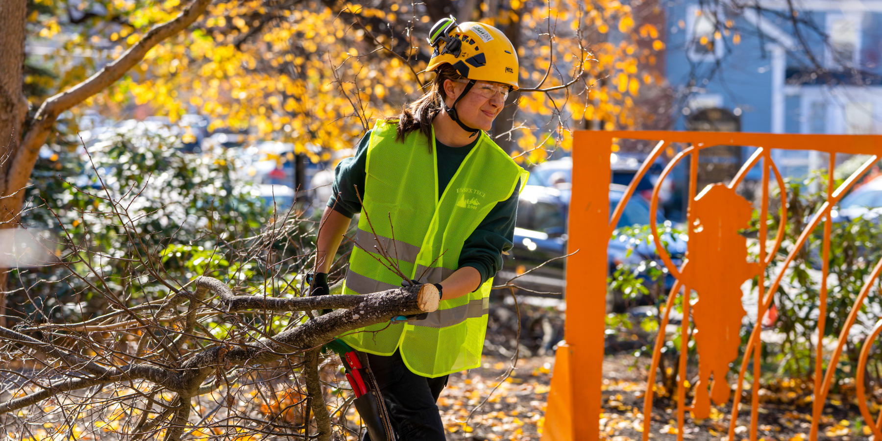 Arboriculture student brining a tree to the chipper. 