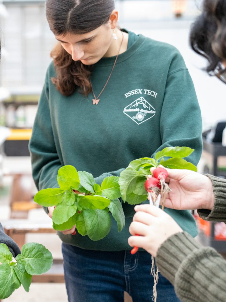 Student inspecting produce. 