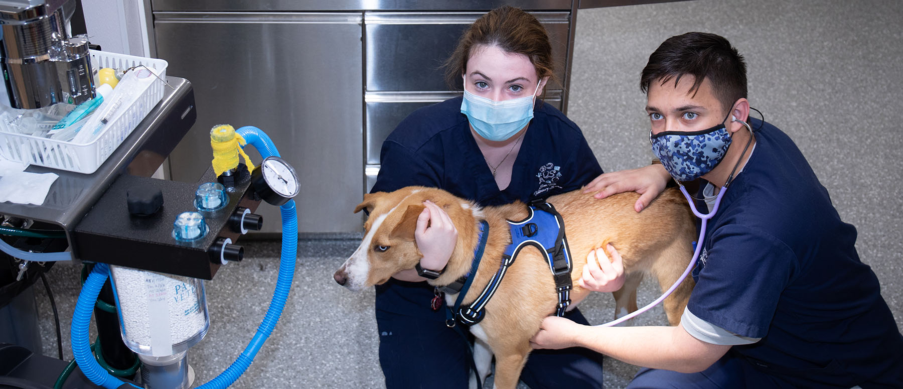 Two students take care of a sick pup.