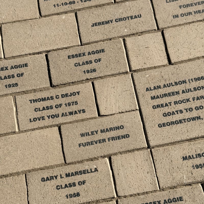 Illustration of purchased bricks in the pathway.
